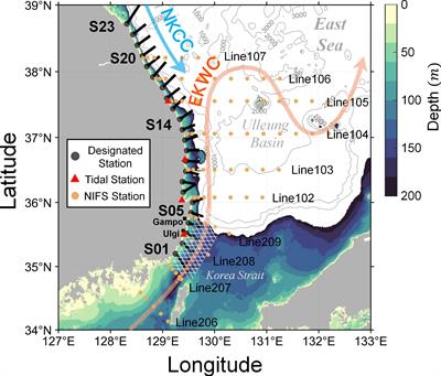 Upwelling processes driven by contributions from wind and current in the Southwest East Sea (Japan Sea)